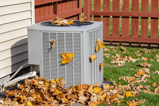 Reliable Federal Way, WA HVAC Solutions